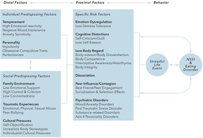 Psychopathological and Neurobiological Overlap Between Anorexia Nervosa and Self-Injurious Behavior: A Narrative Review and Conceptual Hypotheses